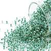 TOHO 11/0 Round Beads X-SEED-TR11-0699-1