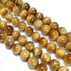 Natural Tiger Eye Beads Strands LS-G-G544-12mm-01-1