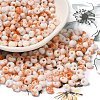 Baking Paint Glass Seed Beads X1-SEED-F006-01A-10-1