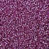 MIYUKI Delica Beads SEED-MY11-DB2156-3