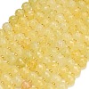 Dyed Imitation Jade Glass Beads Strands GL-Z001-02A-14-1