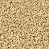 MIYUKI Delica Beads SEED-X0054-DB1571-3