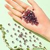 Preciosa® Crystal Beads X-PRC-BB6-20050-200-4