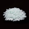 Plastic Sequin Beads PVC-R024-12A-2