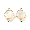 Brass Pave Natural White Shell Connector Charms KK-E794-01G-07-1