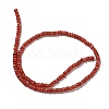 Dyed Natural Freshwater Shell Beads Strands BSHE-G039-07-2