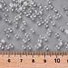 8/0 Glass Seed Beads X1-SEED-A006-3mm-101-3