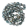 Electroplate Glass Beads Strands EGLA-N008-016-B01-2