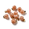 Natural Pink Shell Dyed Round Charms SSHEL-H071-01G-04-1