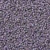 MIYUKI Delica Beads X-SEED-J020-DB1065-2