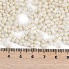 Baking Paint Glass Seed Beads X1-SEED-K010-A16-4