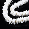 Natural White Shell Beads Strands SSHEL-S266-029-3