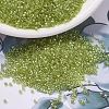 MIYUKI Delica Beads X-SEED-J020-DB0910-1