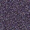 MIYUKI Delica Beads SEED-J020-DB1244-2