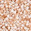 6/0 Half Plated Glass Beads SEED-N008-04F-3