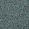 TOHO Round Seed Beads SEED-XTR11-1851-2
