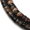 Natural Biotite Beads Strands G-L624-I12-2x4mm-4