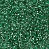 TOHO Round Seed Beads X-SEED-TR08-0343-2