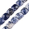 Natural Blue Spot Jasper Beads Strands G-T138-172-4