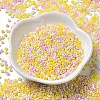 Baking Paint Glass Seed Beads SEED-P006-03A-14-2