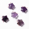 Natural Amethyst Charms G-H241-04D-1