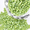 Opaque Glass Seed Beads SEED-S023-01C-04-1