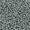 TOHO 6/0 Round Beads X-SEED-TR06-PF0565-3