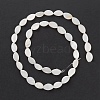 Natural Freshwater Shell Beads Strands BSHE-E028-03-3