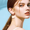 2 Sets 2 Styles Alloy Earring Sets EJEW-GA0001-06-5