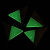 Luminous Glow in the Dark Wood & Resin Pendant WOOD-H104-03-4