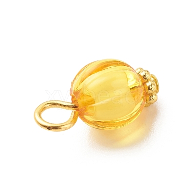 Transparent Acrylic Pendants PALLOY-JF01834-06-1