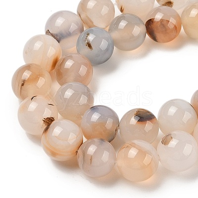 Natural Dendritic Agate Beads Strands G-A248-A07-05-1
