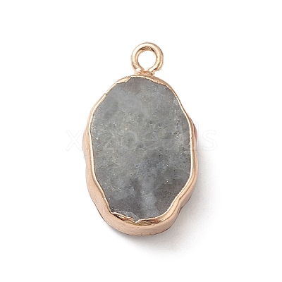 Natural Labradorite Pendants G-K333-01L-1