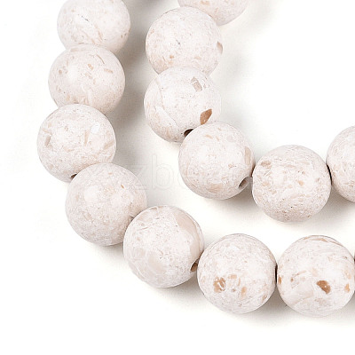 Dyed Natural Fossil Beads Strands G-T139-8mm-66A-1