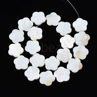Natural Freshwater Shell Beads Strands SHEL-N026-188-1