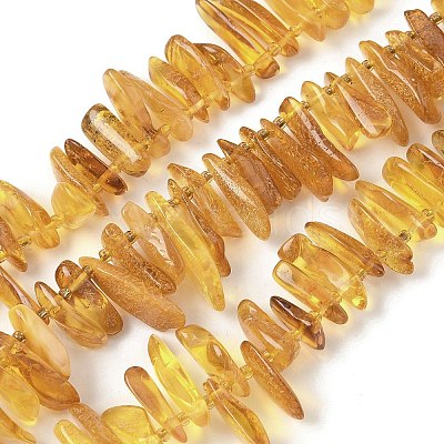Natural Amber Beads Strands G-L095-D01-05-1