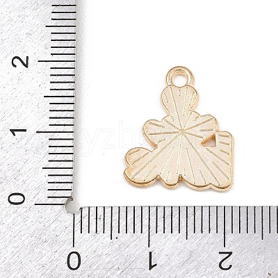 Valentine's Day Alloy Enamel Pendants ENAM-I084-01KCG-25-1