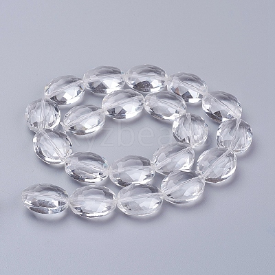 Glass Bead Strands X-GLAA-R196-20x16mm-01-1