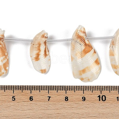 Natural Shell Beads Strands SHEL-K009-12-1