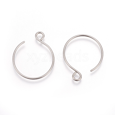 Tarnish Resistant 304 Stainless Steel Earring Hooks X-STAS-L216-02A-P-1
