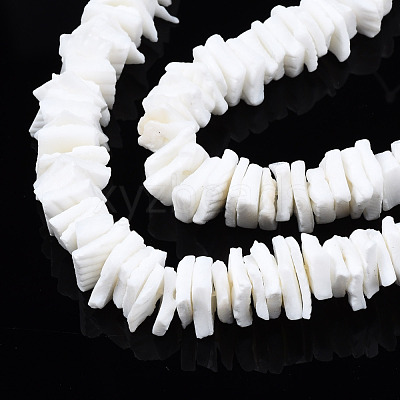 Natural White Shell Beads Strands SSHEL-S266-029-1