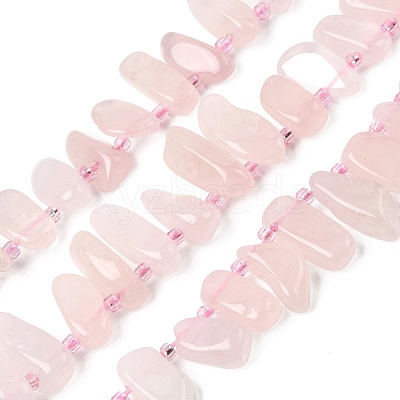Natural Rose Quartz Beads Strands G-L649-D04-01-1