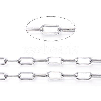 Non-Tarnish 3.28 Feet 304 Stainless Steel Paperclip Chains X-CHS-D030-02P-1