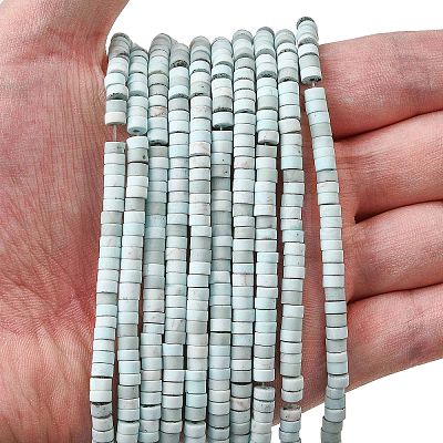 Dyed Synthetic Turquoise Beads Strands G-Z089-A04-C-1