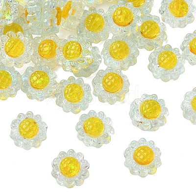 Translucent Resin Beads RESI-D312-04D-1