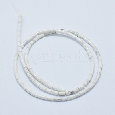 Natural Howlite Beads Strands G-F631-B08-1