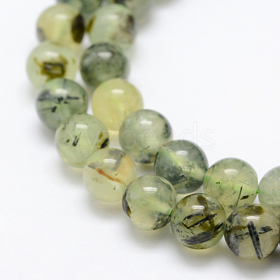 Natural Prehnite Beads Strands X-G-P322-48-8mm-1