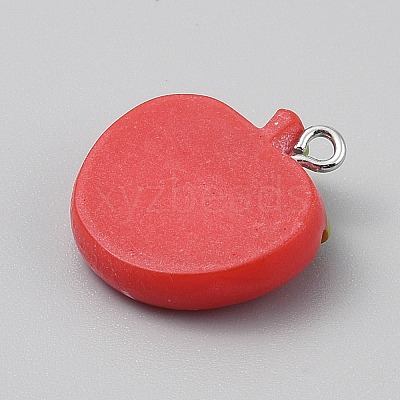 Opaque Resin Pendants LS-RESI-CJC0029-001D-01-1