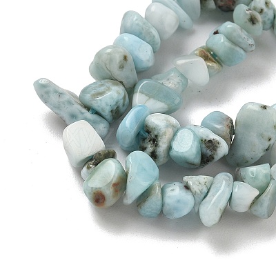 Natural Larimar Beads Strands G-P302-03-1