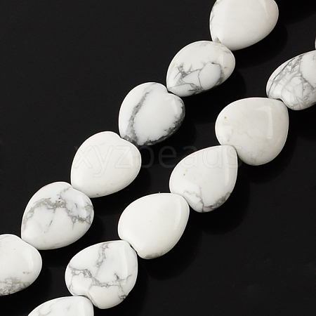 Natural Howlite Bead Strands X-G-R190-21-1